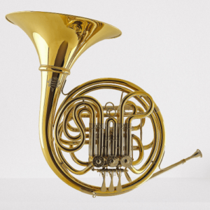 A Gebr F Bb double-horn (model 403)