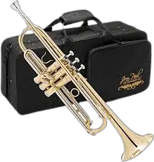 A trumpet alongside a case