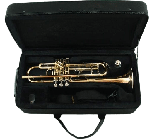 A used trumpet in a case