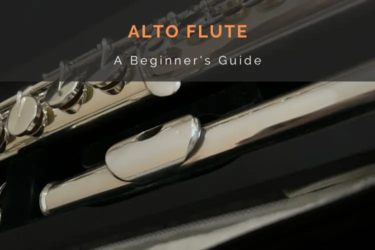 Alto flute beginner guide