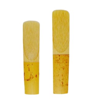 An Alto and Tenor Sax reed side by side