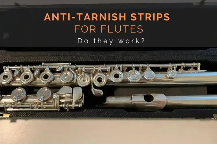 a case with a flute and anti-tarnish strips