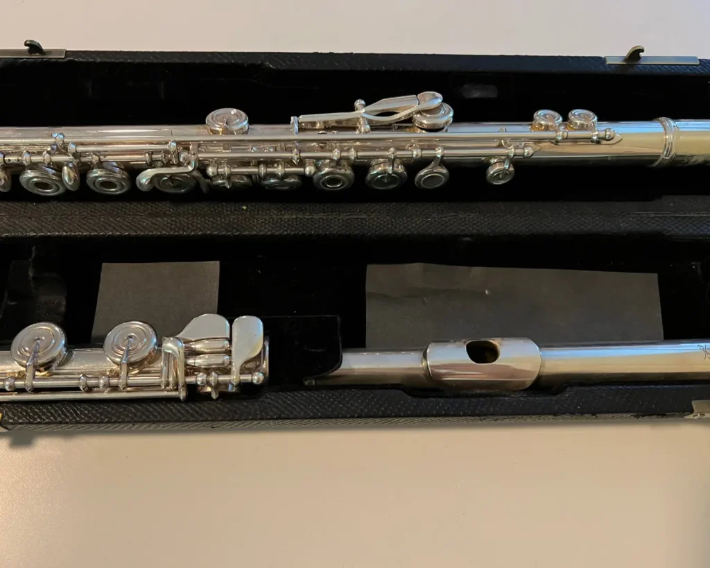 Anti-tarnish strips visible inside a flute case