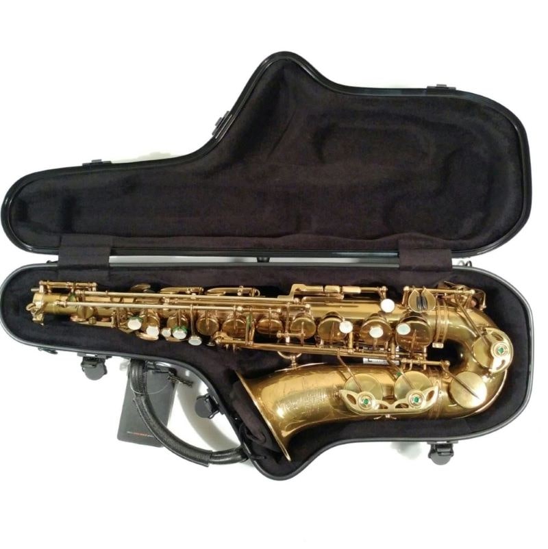 Bam alto sax case