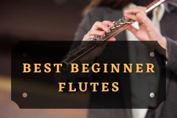 Best Beginner Flutes Guide