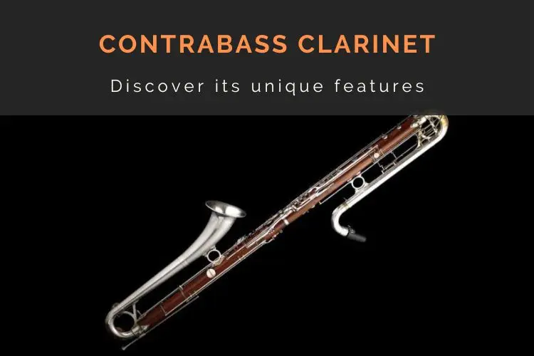 a contrabass clarinet sideview
