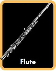 A Flute in a frame