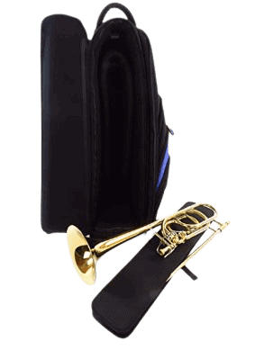 A Fusion PB-15-B Premium Case along with a Tenor Trombone