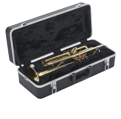 a case with a trumpet inside