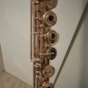 A side view from my Flute
