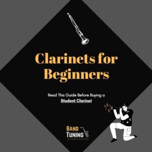 Info Guide About Clarinets for Beginners