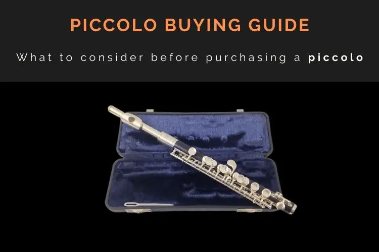 Piccolo Buying Guide