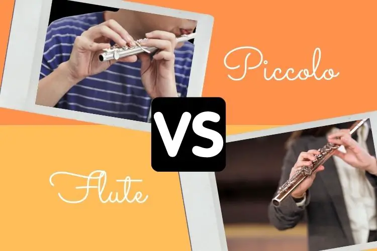 Piccolo vs flute