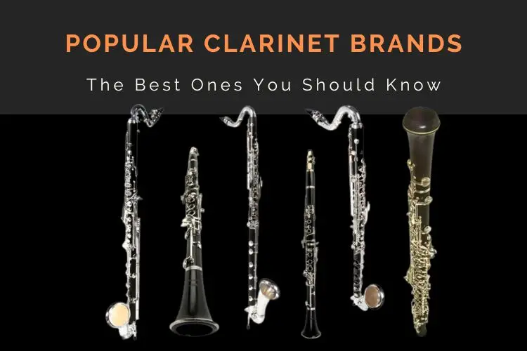 Different popular clarinet brand models
