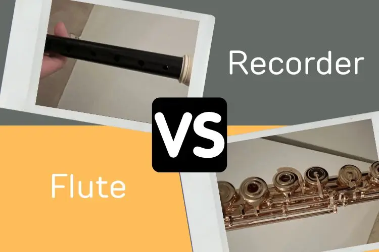 A recorder on the top and a flute below with a VS symbol between them