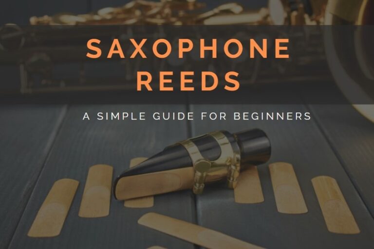 Saxophone Reeds - Beginner Guide