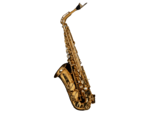 Selmer Alto Saxophone