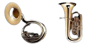 A Sousaphone and a Tuba side by side