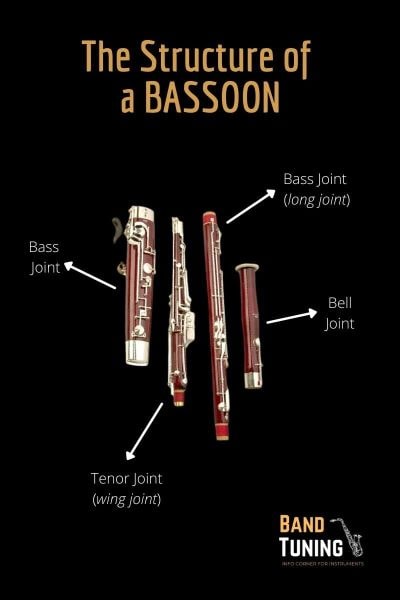 The different parts of a bassoon