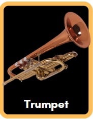 Trumpet